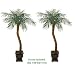 TWO 7' Artificial Phoenix Coconut Palm Trees with BENDABLE Trunks
