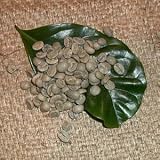 �O�@�e�}���@�A���e�B�O�A�@�T���^�o�[�o�� �i������500g�j�u����20%���ʒ��I�v-���i�ה҂��j-�������i���[�X�gNo.4)