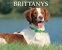 Just Brittanys 2007 Calendar