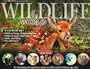 Wildlife of the World