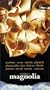 Magnolia [VHS]