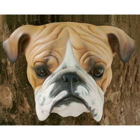 Wood mask, 'Worried Bulldog'