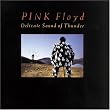 Delicate Sound of Thunder Delicate Sound of Thunder