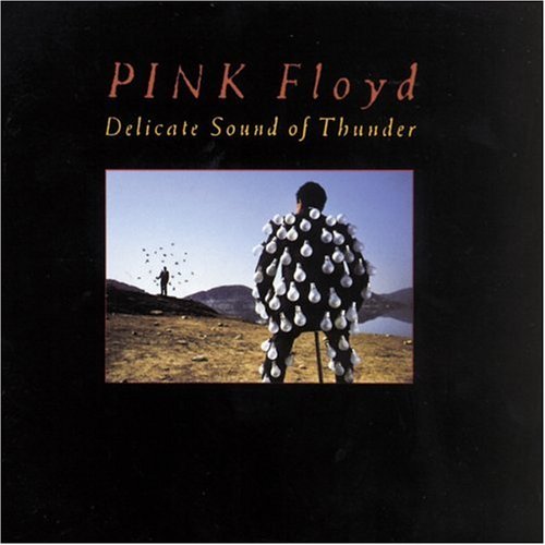 Pink Floyd - Delicate Sound Of Thunder (Disc 1) - Zortam Music
