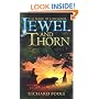 Jewel and Thorn (Book of Lowmoor)
