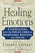 Healing Emotions: Conversations With the Dalai Lama on Mindfulness, Emotions, and Health