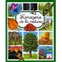 L'imagerie de la nature