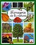 L'imagerie de la nature