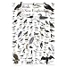 Birds of the New England Coast 550pc Jigsaw Puzzle