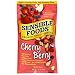Sensible Foods Crunch Dried Snacks, Cherry Berry, 0.75-Ounce Pouches (Pack of 24)
