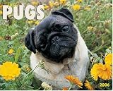 Just Pugs 2006 16-Month Wall Calendar
