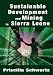 Book Sustainable Development and Mining in Sierra Leone