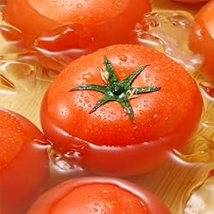 フレッシュ桃太郎トマト 約2.0kg前後入