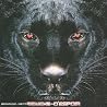 Image de lalbum de {0}