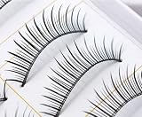 10 Pairs of Natural & Regular Long False Eyelashes with Bonus Adhesive