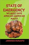 State of Emergency: We Must Save African American Males