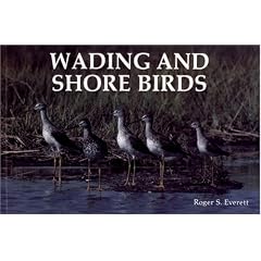 Wading and Shore Birds