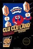 Clu Clu Land on NES