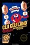 Clu Clu Land - NES