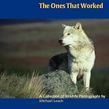 The ones that worked : a collection of wildlife photographs