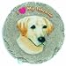 Yellow Labrador Stepping Stone