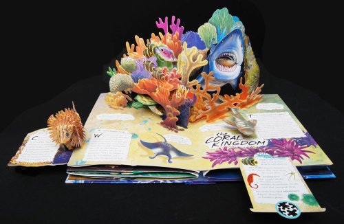 Cover image : Wild Oceans: A Pop-up Book with Revolutionary Technology