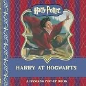 Harry Potter: Harry at Hogwarts Hanging Pop-Up (BBC Childrens Books)