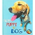 From Puppy to Dog (Heinemann First Library) (Reinforced Hardcover)