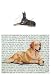 Doberman Pinscher Glass Cutting Board