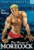 Postcardbook.67 : The House of Morecock - Joe Phillips