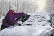 Winter Warrior Windshield Cover