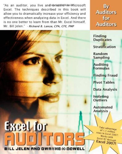 excel for auditors audit spreadsheets using excel 97 through excel 2007 excel for professionals series