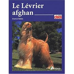 Le L�vrier afghan