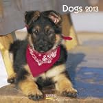 Dogs 2013. Brosch�renkalender