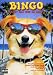 DVD : Bingo - Kuck mal, wer da bellt!