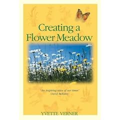 Creating a Flower Meadow