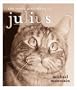 The World According to Julius