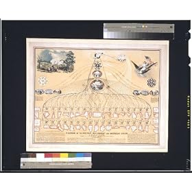 Diagram of the Federal Government and American Union by N. Mendal Shafer, attorney and counseller at law, office no. 5 Masonic Temple, Cincinnati (Reprint measured in inches 24 x 19)