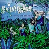 B witched on the Awake & Breathe CD
