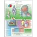 3B Scientific Glossy Paper Headaches Anatomical Chart
