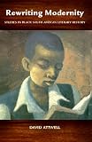 Rewriting Modernity : Studies In Black South African  Literary History