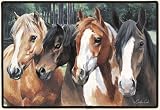CRAZY HORSES DOORMAT Art by by Caroline Cook