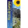 Picos De Europa: Northern Spain (Landscapes)