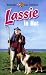Lassie in Not