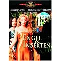 Engel und Insekten