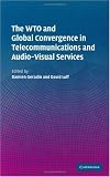The WTO and Global Convergence in Telecommunications and Audio-Visual Services
