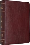 ESV Study Bible (Burgundy) image