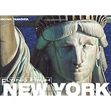 new york flying high