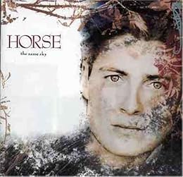 War Horse Foto 1