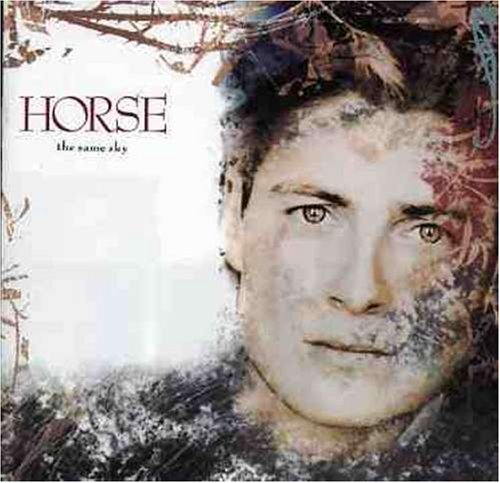 War Horse Foto